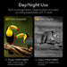 1080P Night Vision Binoculars 10x Digital — 800m Full-Dark IR, 2.8" Screen