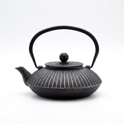 800ml Cast Iron Teapot – Japanese-style Kettle for Boiling Water and Tea